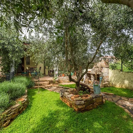 Apartment Beautiful In With Wifi *